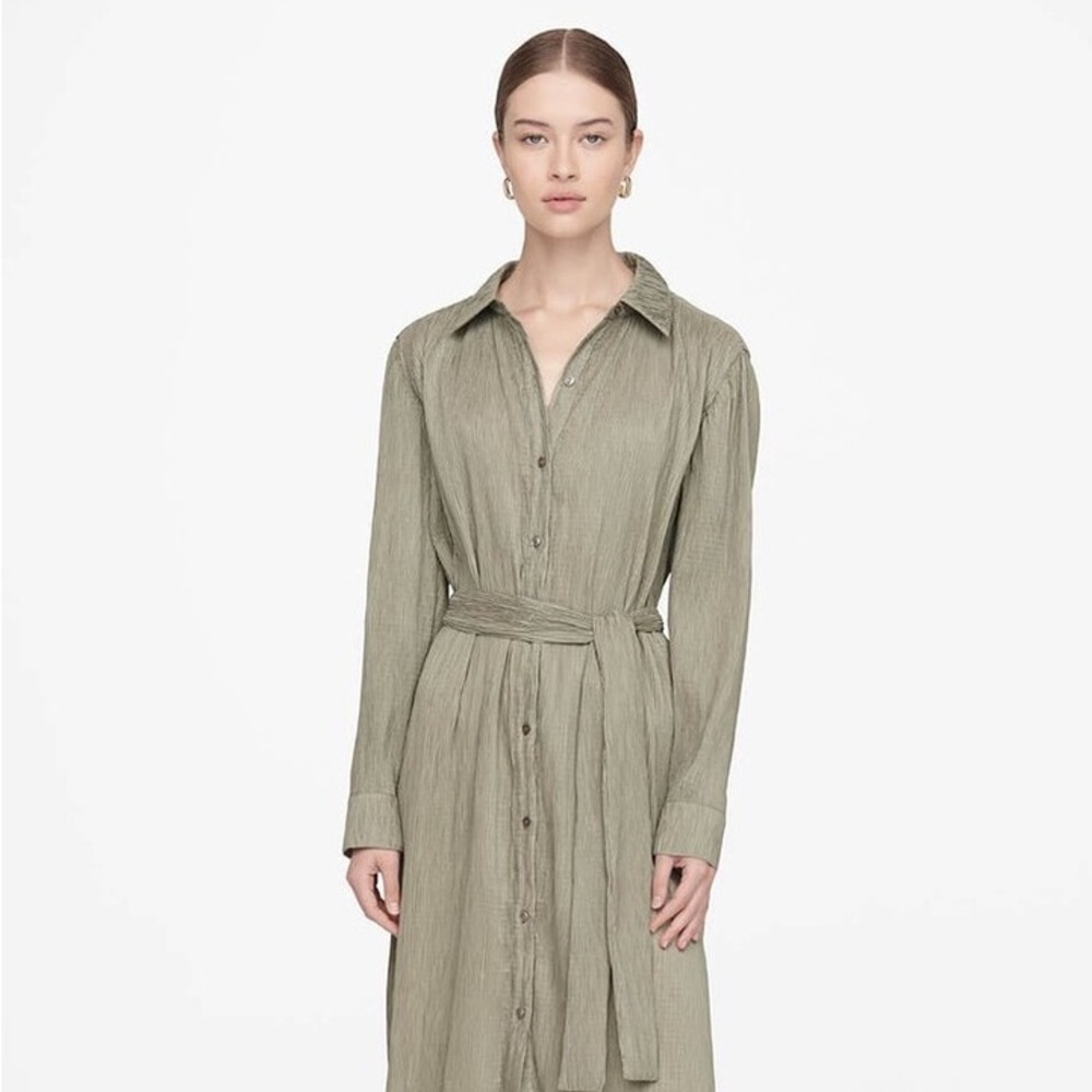 Anine Bing Green Long Sleeve Shirt Dress (Alma Dress)